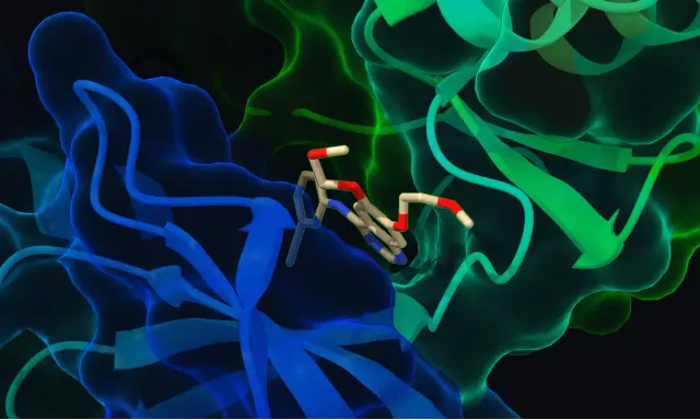 Close-up of erlotinib sticks inside the EGFR binding pocket, visible through a transparent molecular surface.