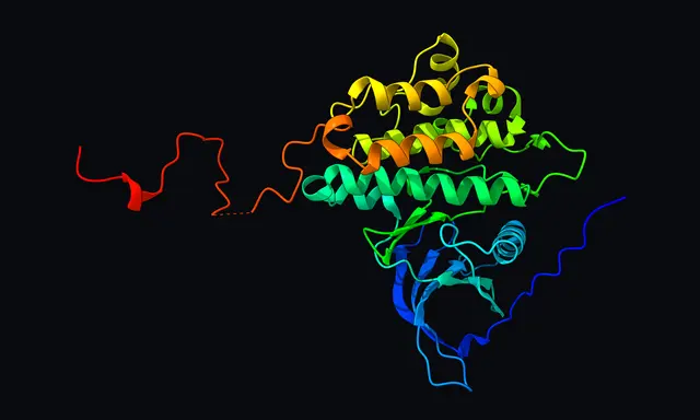 EGFR kinase cartoon, with helices and strands colored in a rainbow along the chain, in complex with erlotinib.